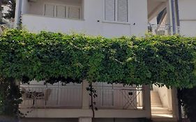 Apartments Vinea